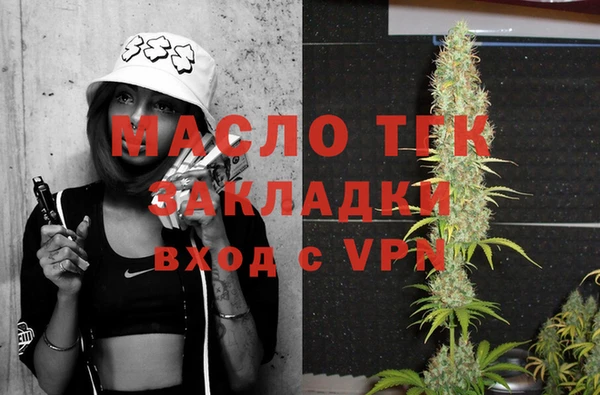 гашик Козельск