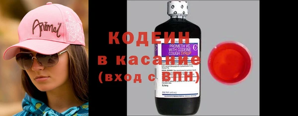 гашик Козельск
