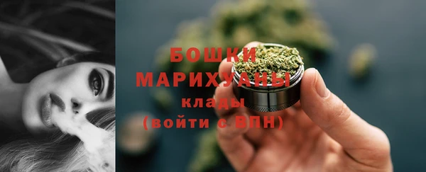 гашик Козельск