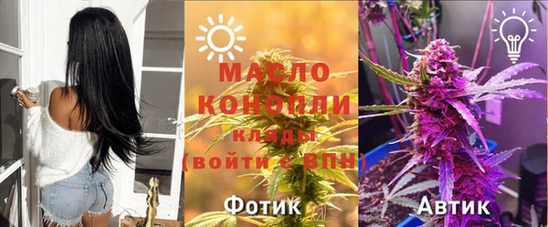 гашик Козельск