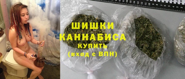 гашик Козельск