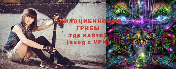 гашик Козельск