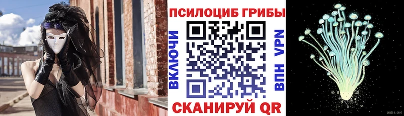 как найти закладки Феодосия omg рабочий сайт Галлюциногенные грибы Cubensis